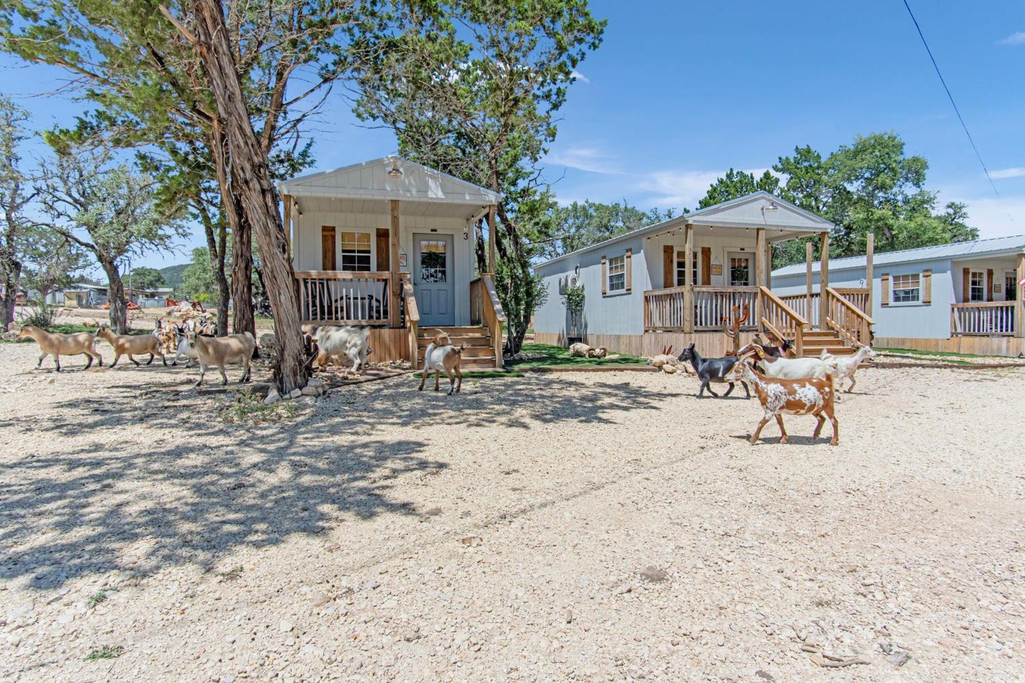 Lucky Star Ranch - Stargazer Hotel Tarpley Exterior photo